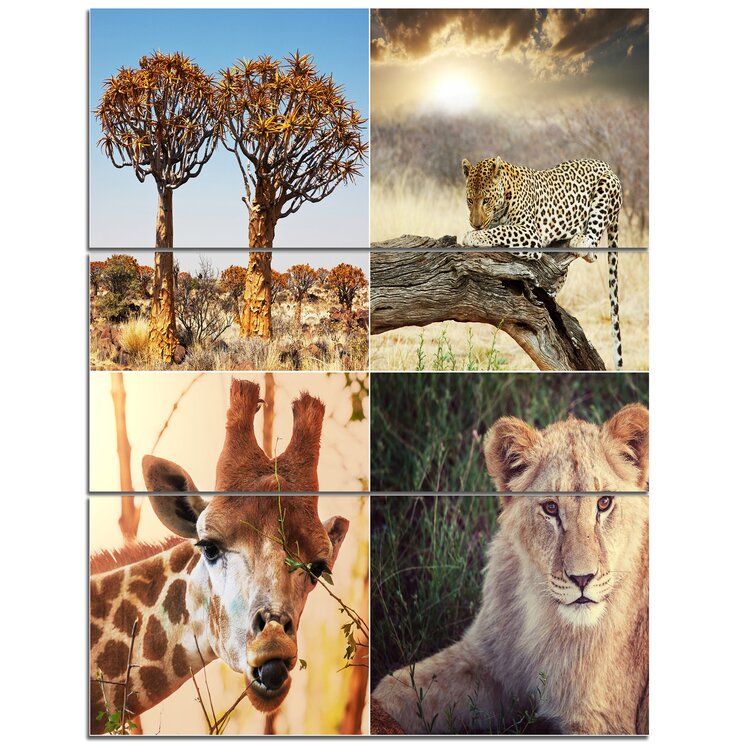 photo collage safari
